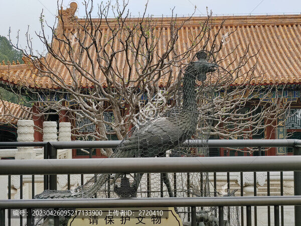鳳凰