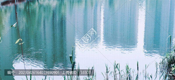 河水蕩漾