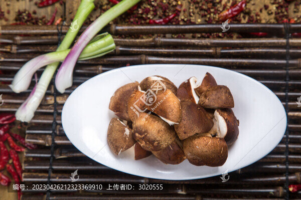 火鍋蘑菇