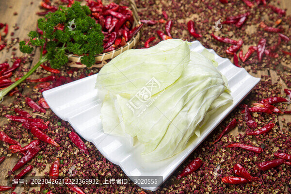 包菜