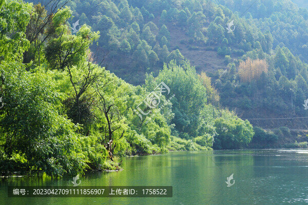 青山綠水