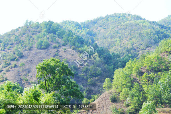 山川河流