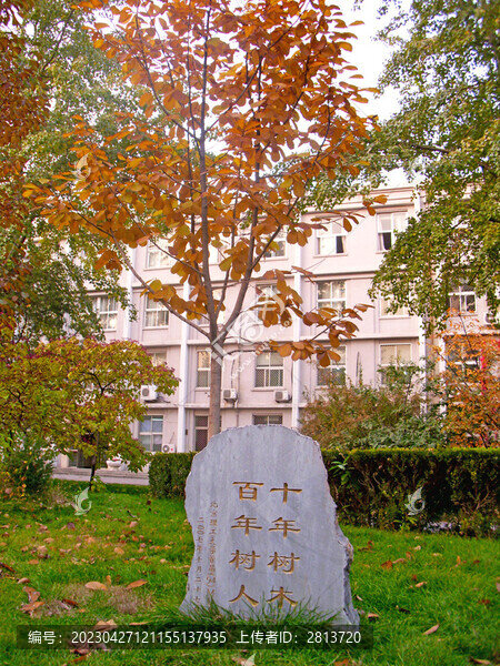 北京理工大學中心花園金秋校園