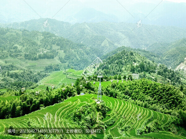 梯田