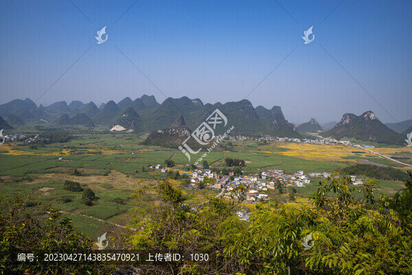 稻田美麗鄉(xiāng)村