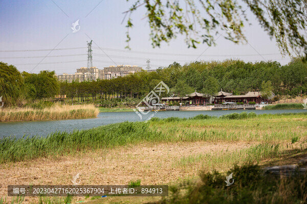 郊野公園