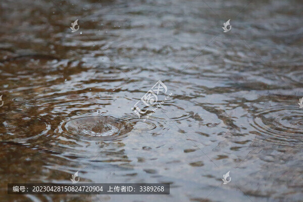 春雨綿綿水滴凝固