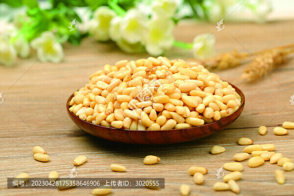 松子仁