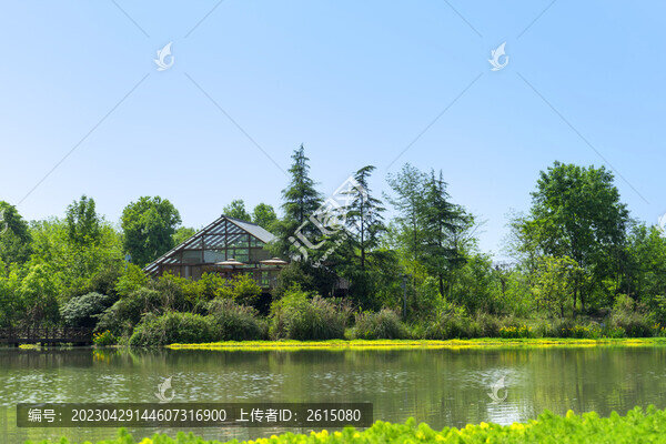 公園草坪河邊池塘草地