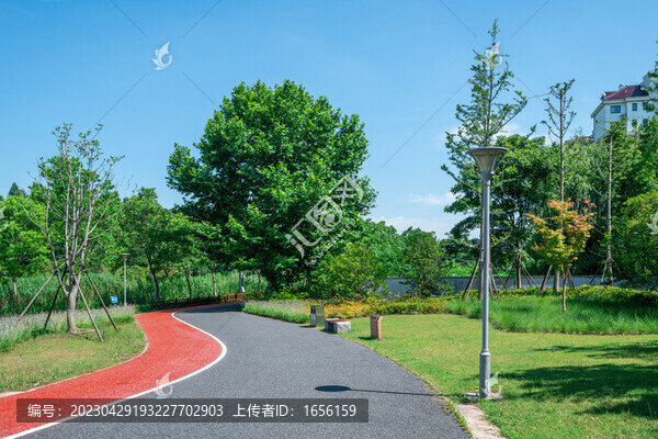 城市綠地步道