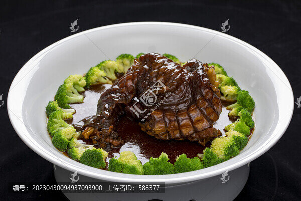 紅燒醬烤鱷魚掌鱷魚肉