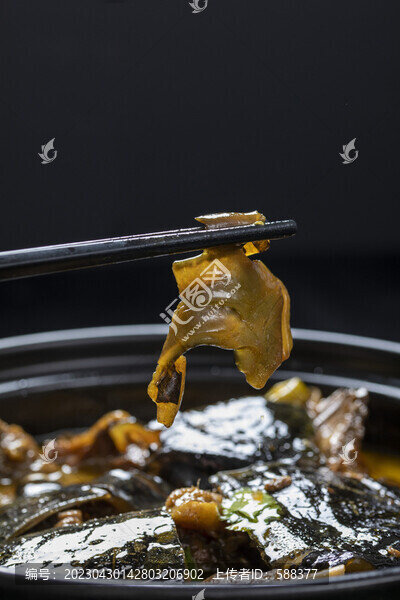 秘制紅燒野生甲魚(yú)