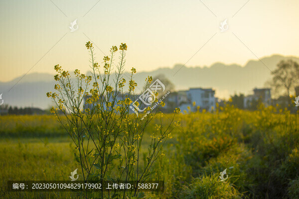 徽派古村古建筑馬頭墻晨曦