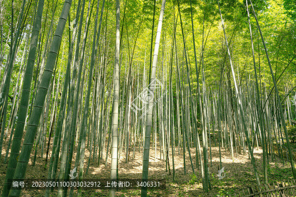 杭州寶石山風(fēng)景區(qū)
