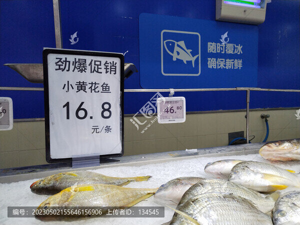 小黃花魚