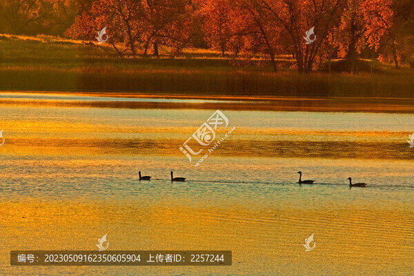 湖泊美景