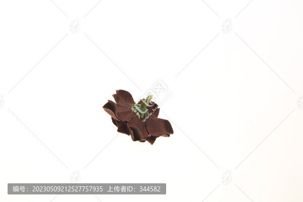 仿真花