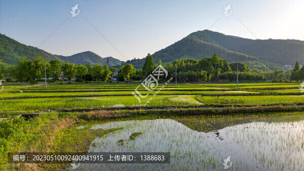 農(nóng)田