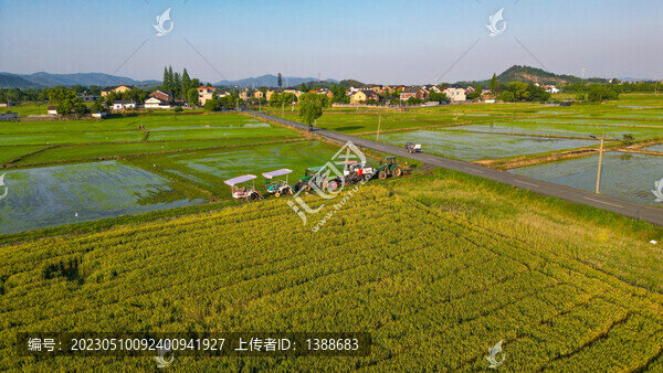 田園風(fēng)光