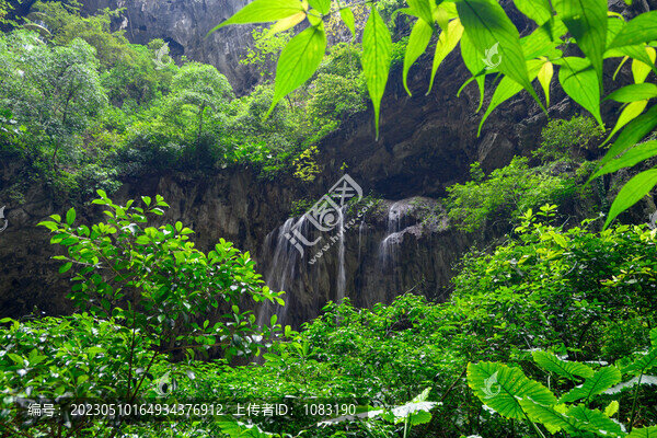 天坑森林