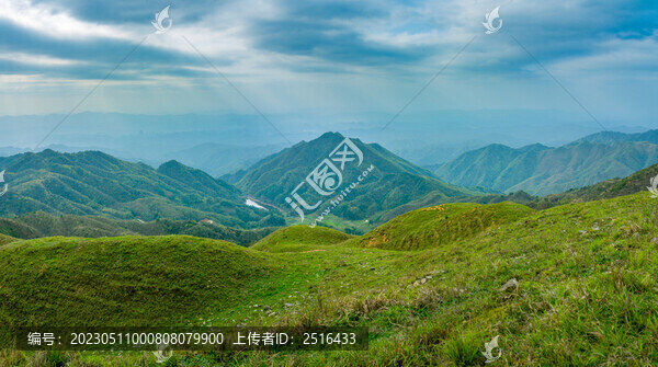 山川山脈山頂草地生態(tài)環(huán)境