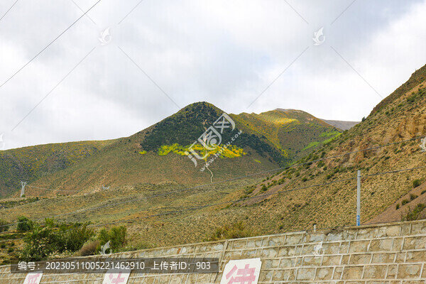 高原風光