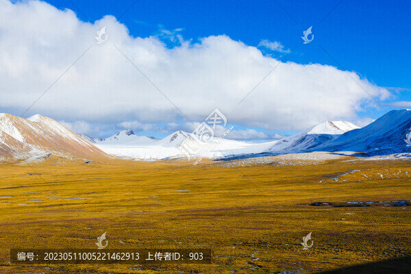 高原風(fēng)光