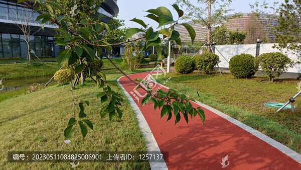 公園塑膠小路