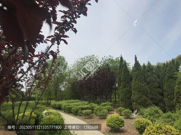 公園一角