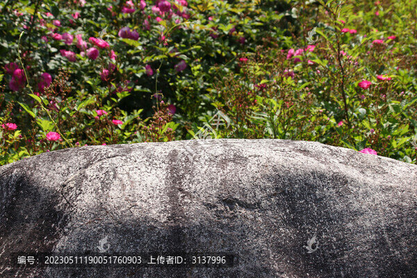 石頭綠化