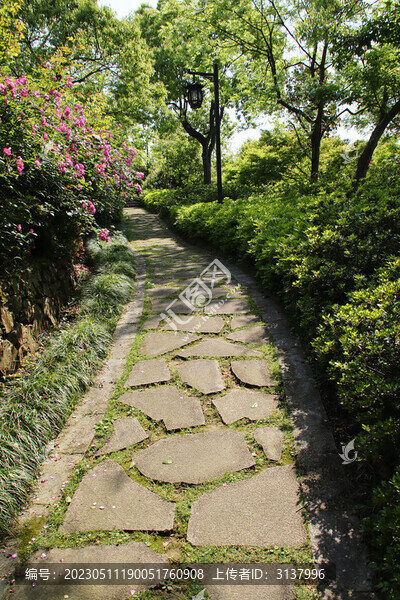 林間小道