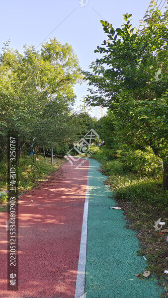 城市公園湖泊