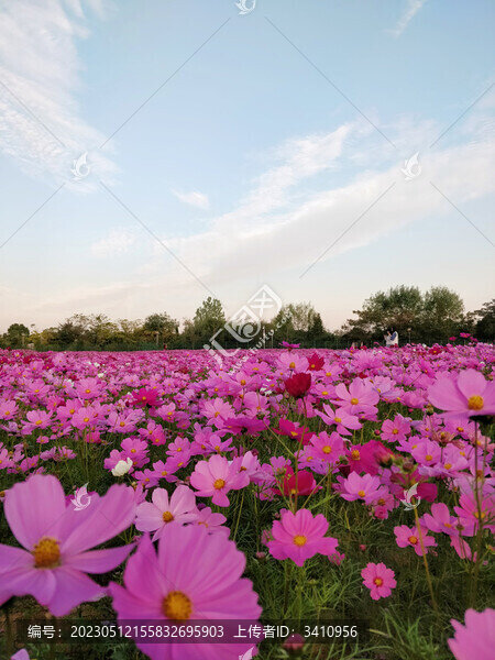 藍(lán)天白云下的格?；úㄋ咕栈ê? title=