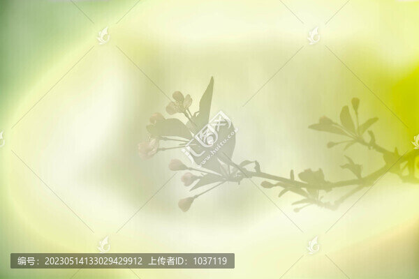 花的漩渦