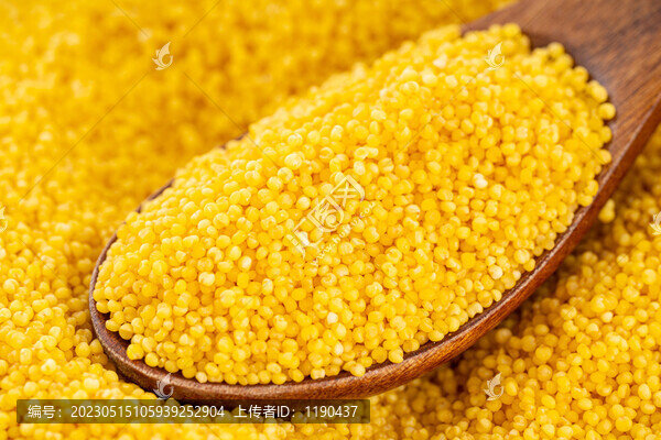 黃小米