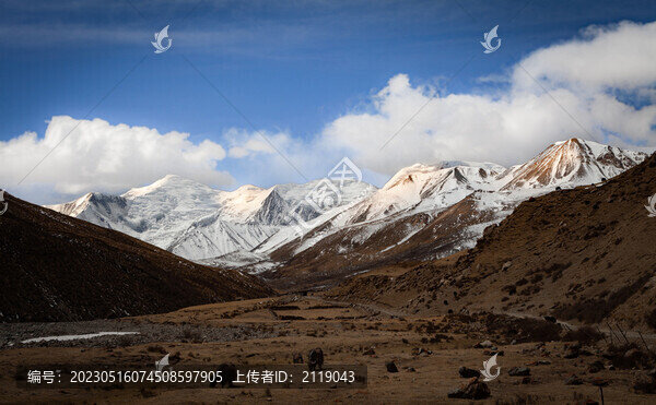 神山阿尼瑪卿