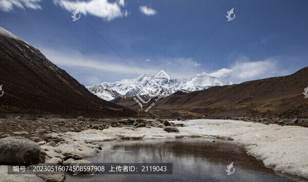 阿尼瑪卿
