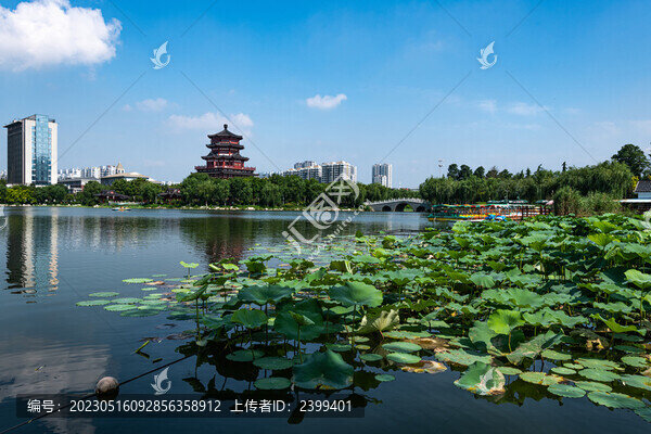 濟寧古南池公園