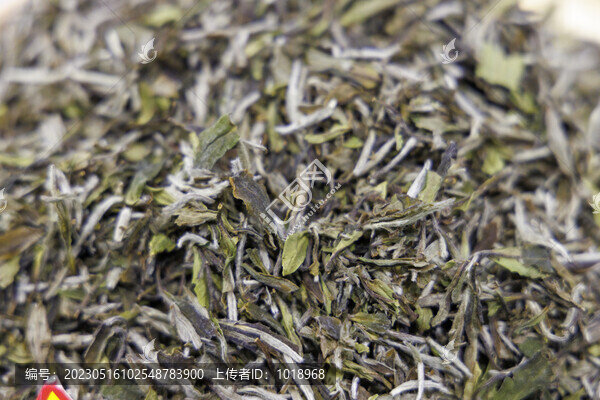 白牡丹茶葉