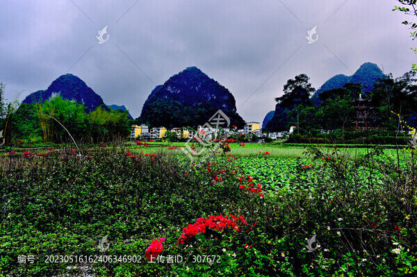 廣西舊州風景