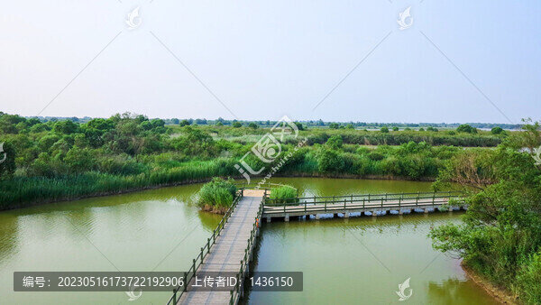 濕地公園