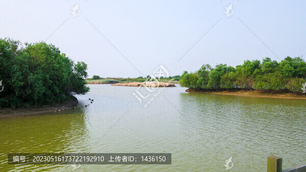 濕地公園