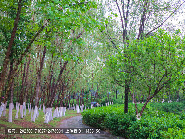 春天公園