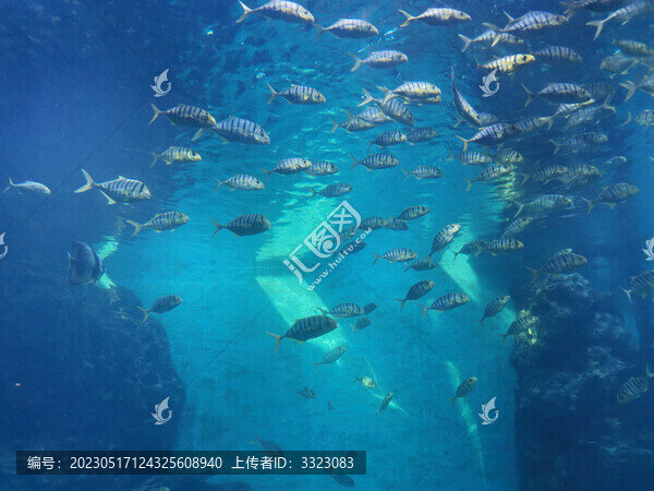 海底世界