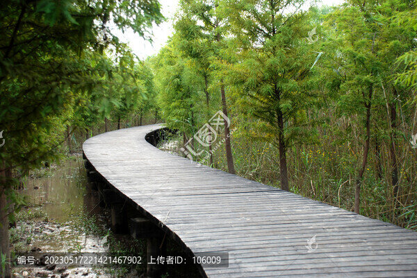 上海崇明島西沙濕地