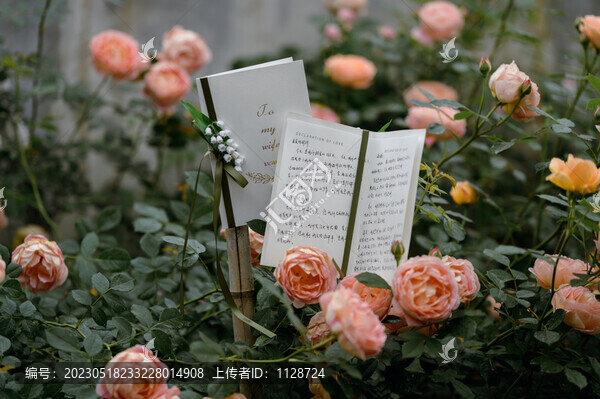 薔薇花