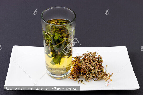 生的蒲公英干葉子泡水