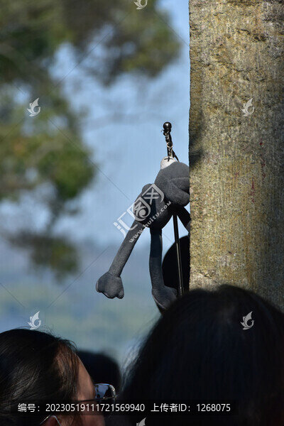 杭州西湖雷鋒塔斷橋靈隱寺