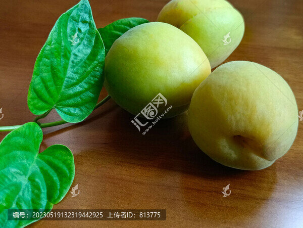 未成熟青果