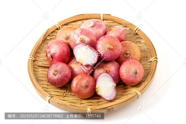 鬼子洋蔥